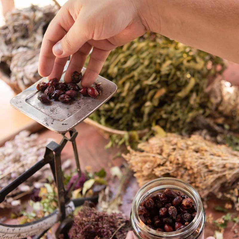 Phytothérapie-pharmacie-bouliere-aron